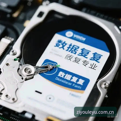 乐鱼体育平台电脑版下载卡壳？完整自救指南教你见招拆招